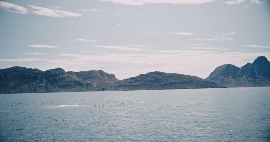 Whale briefly breaches the surface near mountainous shore on a cloudy day