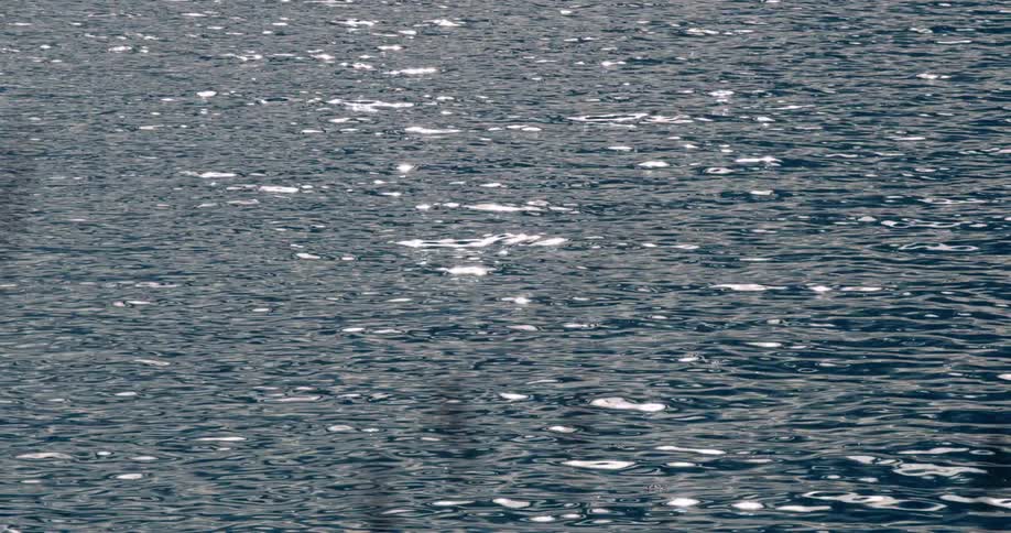 Sunlight shines on the water as it ripples and waves