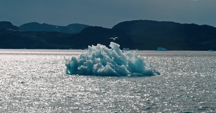 A seagull lands on an iceberg in the sea near the shore