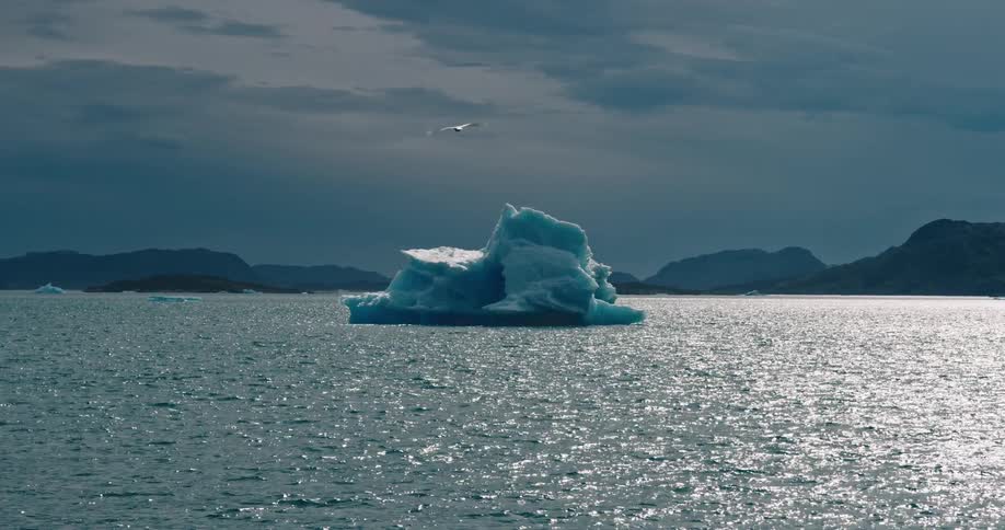 A seagull flies over a melting iceberg floating of the arctic coast
