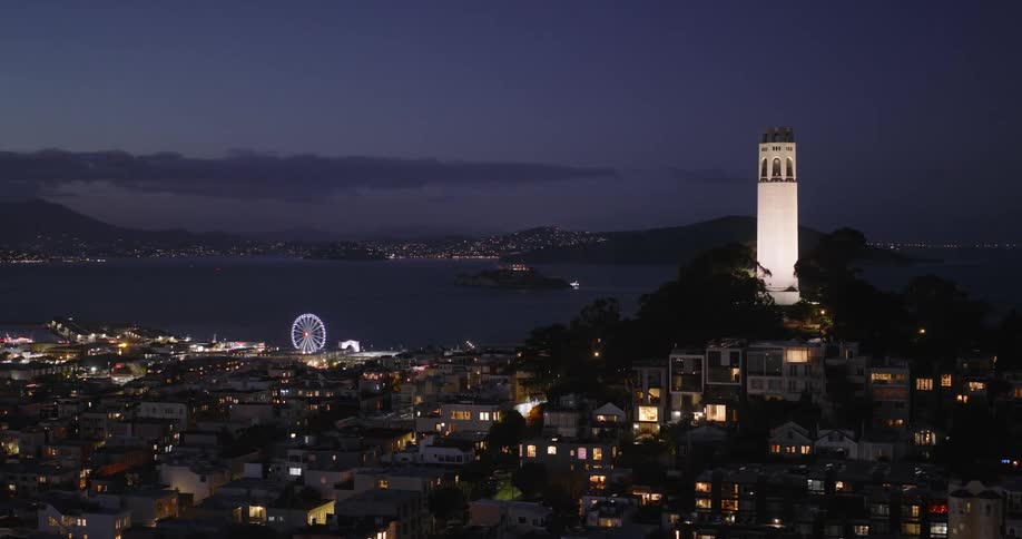 Aerial panorama of a metropolis by the seaside at night