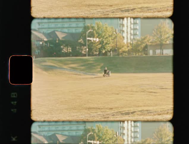 Family play with their dog on the park caught on vintage film
