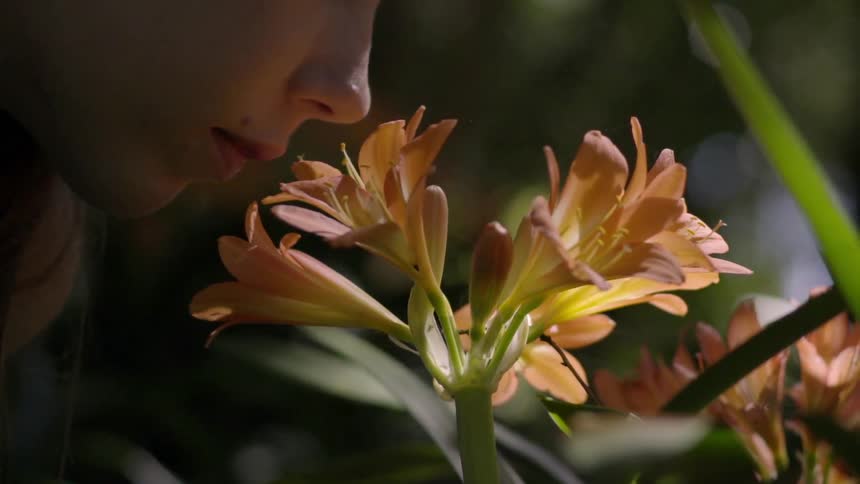 A woman leans down to smell flowers
