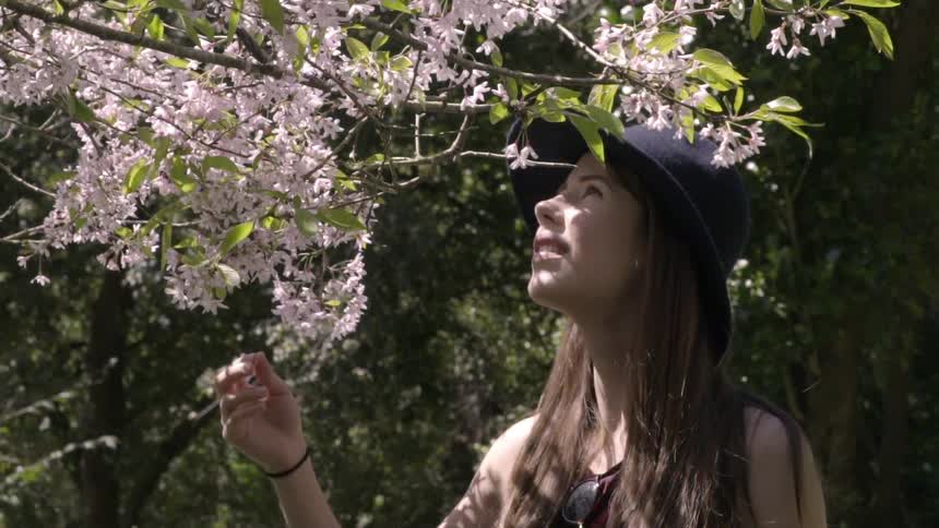 Woman looks up at tree blossoms on a sunny day