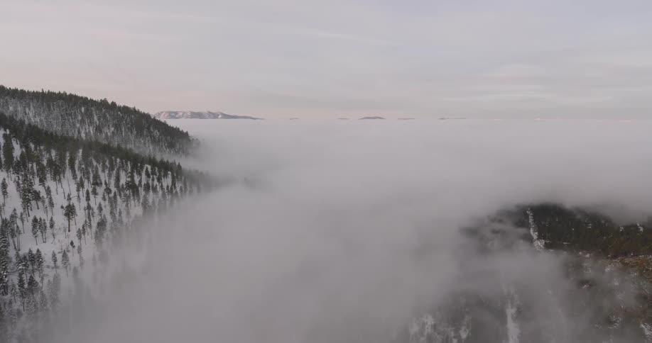 Aerial panorama of a mountain range with conifers covered in snow and shrouded in fog