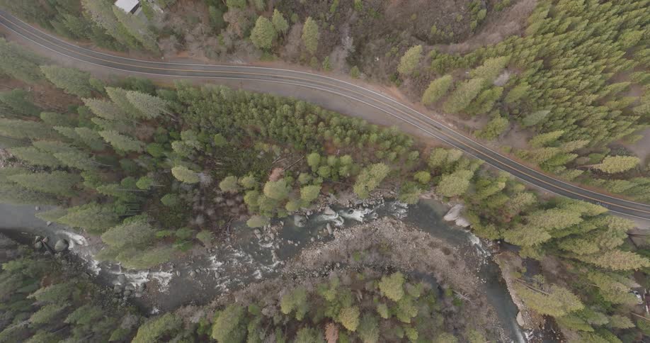 Aerial of a car traveling on the road with trees on both sides during the day
