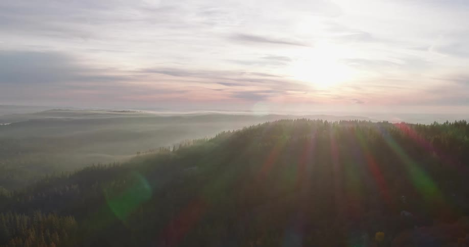 Sun flares radiate over a green hillside in the morning