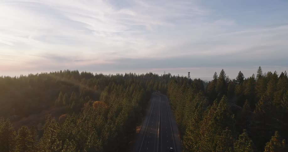 Vehicles drive along highway paralleling train tracks through coastal conifer forest on a cloudy day
