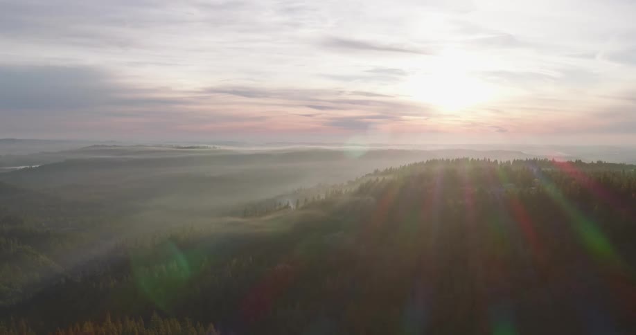 Aerial panorama of a mountain range with conifers under a morning sky