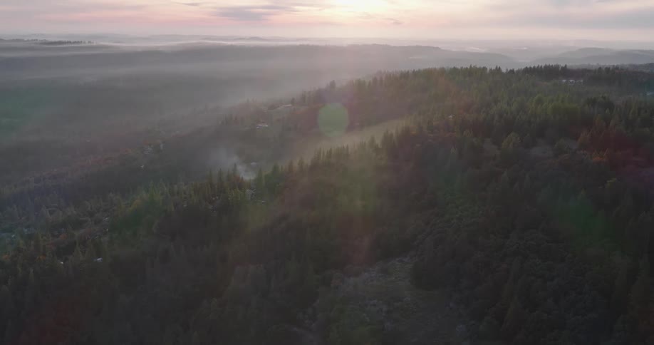 The sun is setting in the horizon of a wooded area