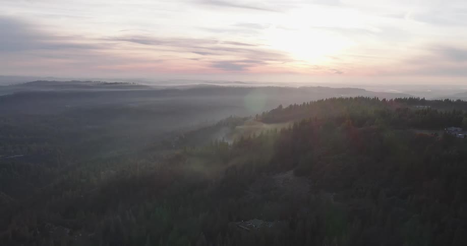 An aerial clip of the woods
