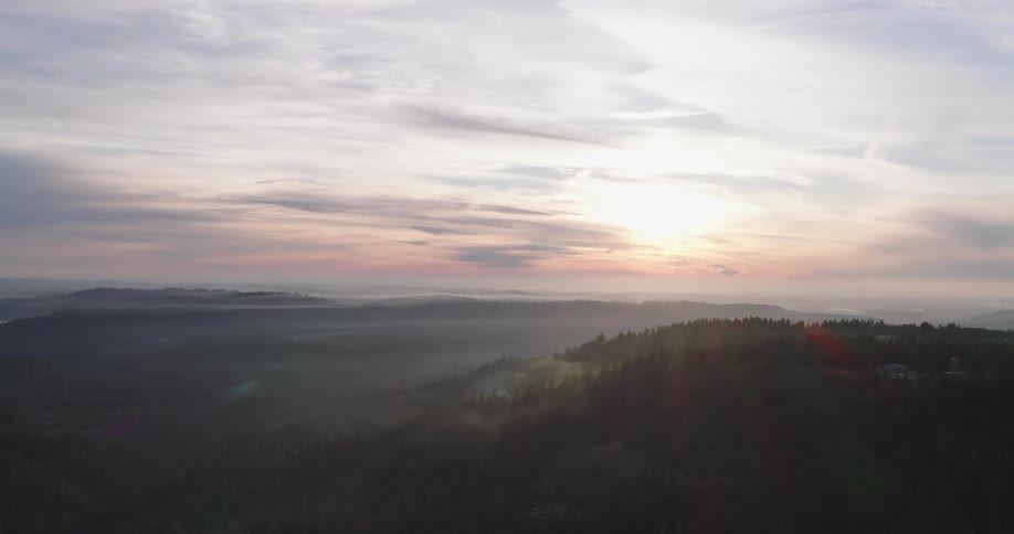 Aerial of the forest bathed in the morning sun