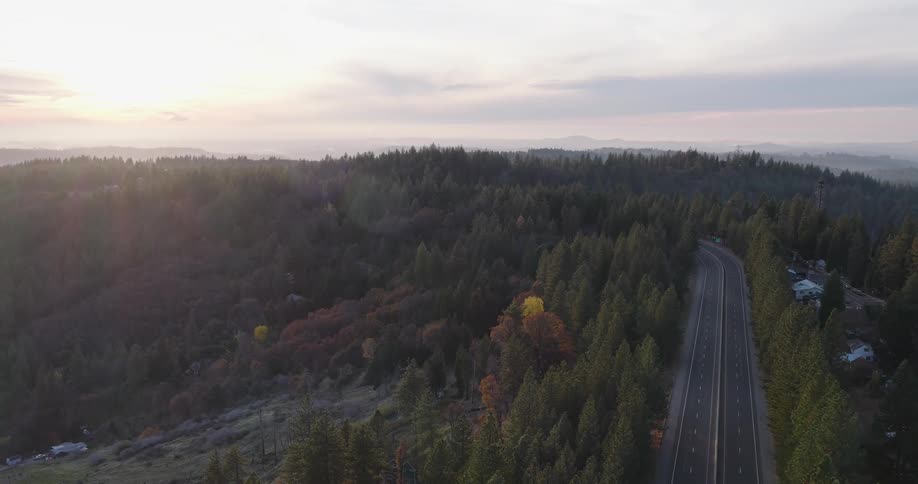 An aerial clip of a freeway in the woods