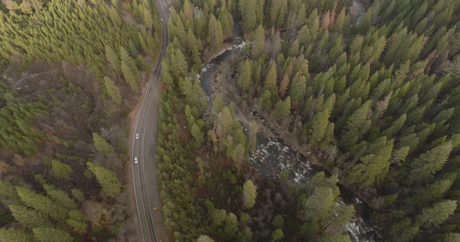 Traffic runs on the highway through the woods