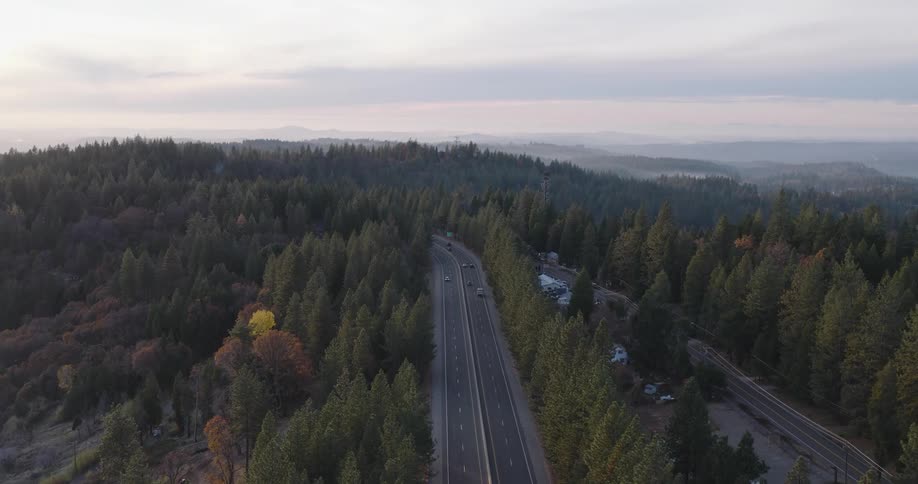 Traffic runs on the highway by the woods