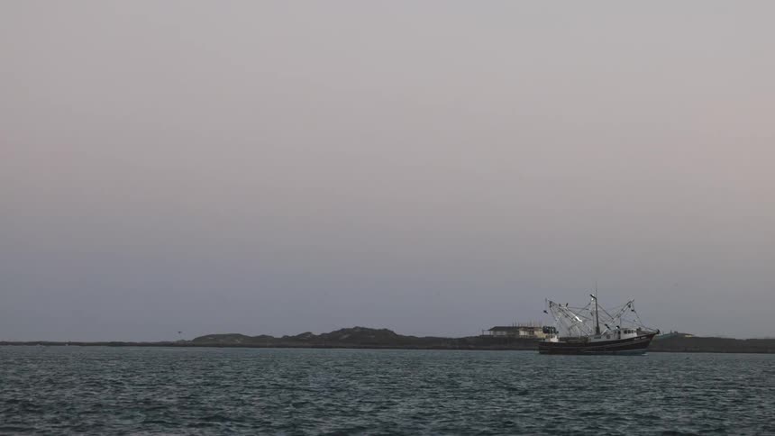 A ship travels in the water