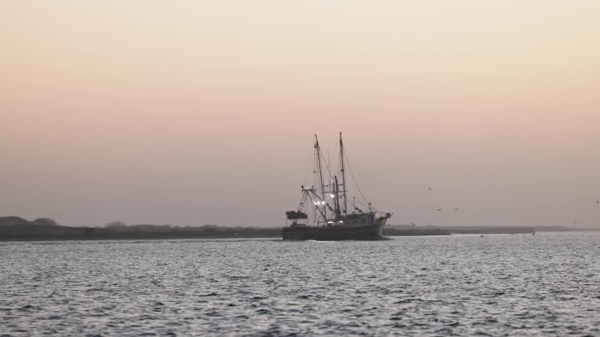 Birds fly by the sailing boat