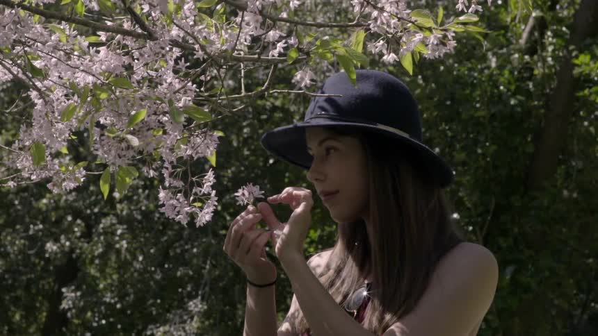 A young woman picks flowers from a tree on a sunny day