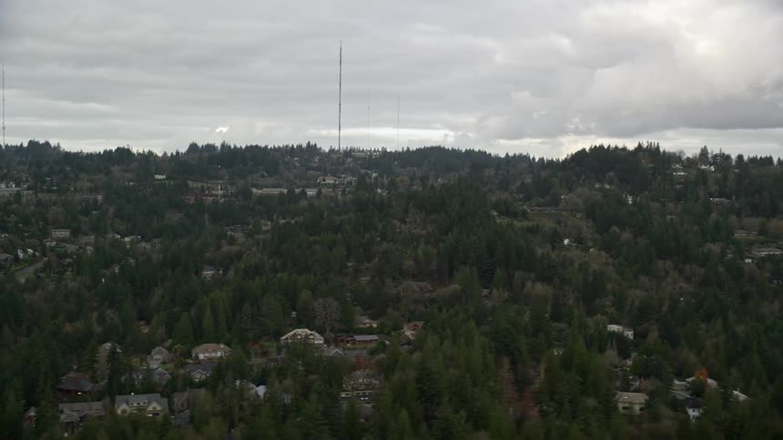 Panorama of a residential neighborhood surrounded by conifers on a cloudy day