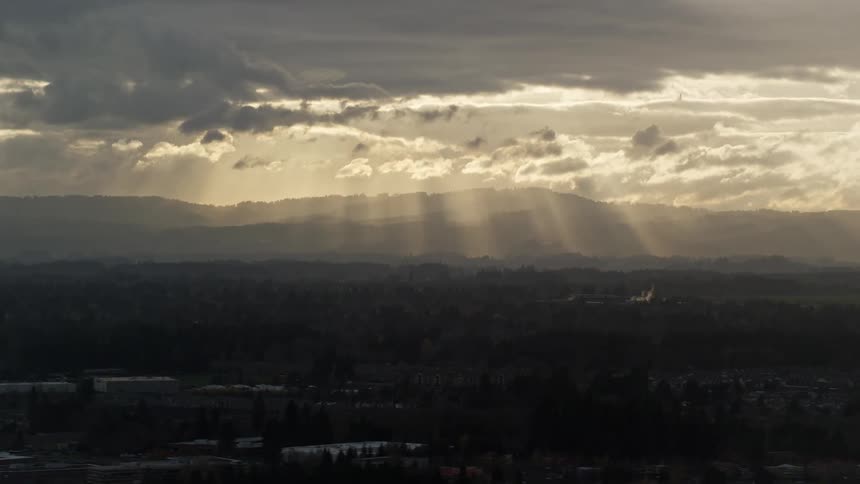 Aerial of a leafy suburban neighborhood at dusk