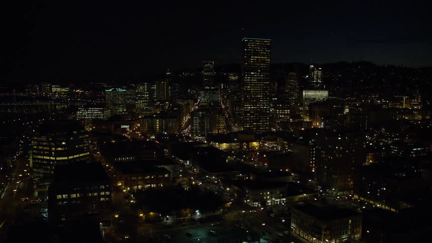Aerial panorama of a nighttime metropolis with skyscrapers