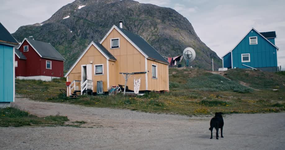 A black dog is standing in a village in Greenland