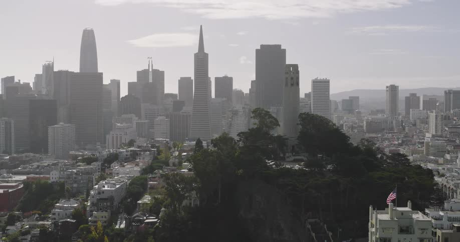 Buildings surround forested mountain near downtown skyscrapers on a foggy day