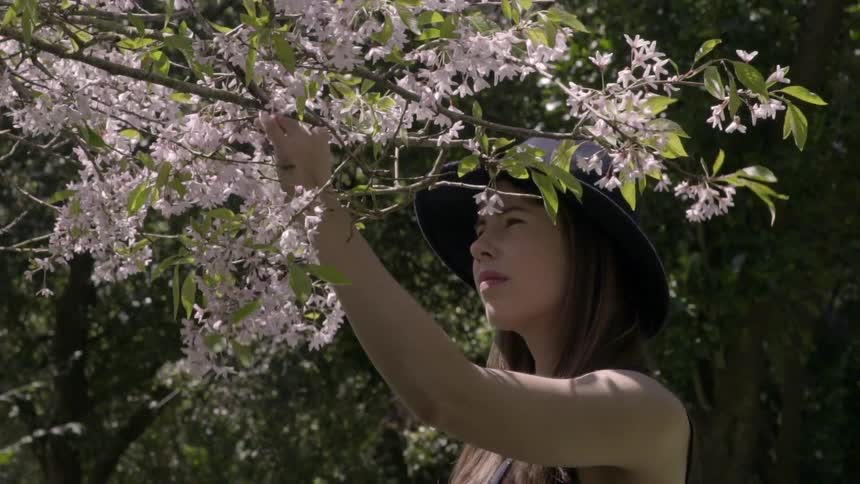 A woman picks blossoms off of a tree