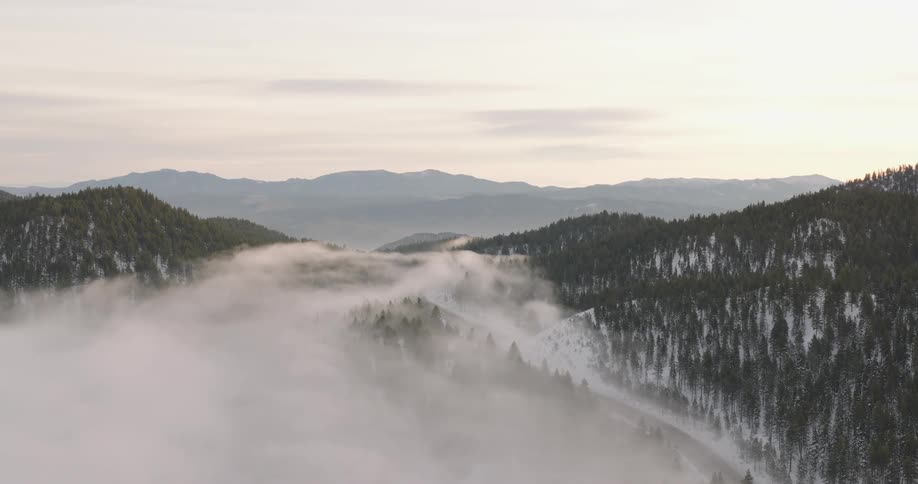 Aerial of the forest during a blizzard at sunset