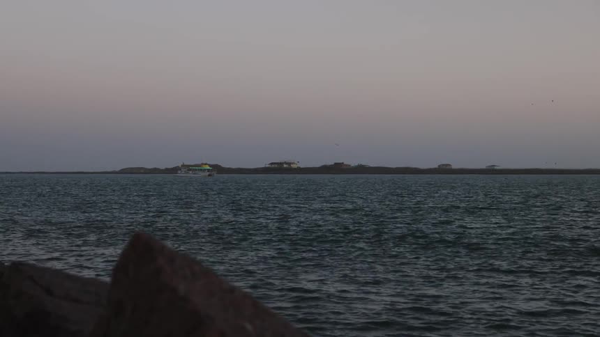 A boat sails across the water as it ripples and waves and seagulls fly