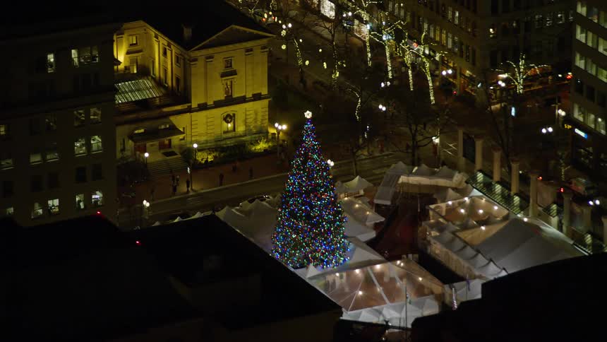 A large christmas tree is in the middle of the city