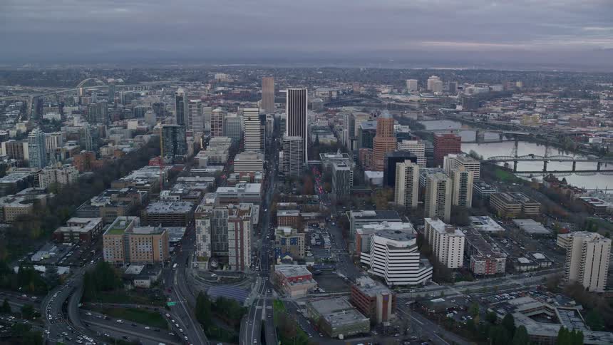 A metropolitan cityscape featuring numerous tall buildings skyscrapers and bridges on a cloudy day