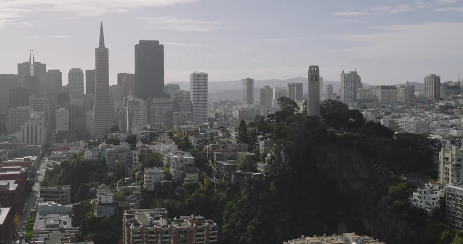 Low aerial view of downtown san francisco skyline and coit tower on a hill surrounded by green trees on a foggy sunny day