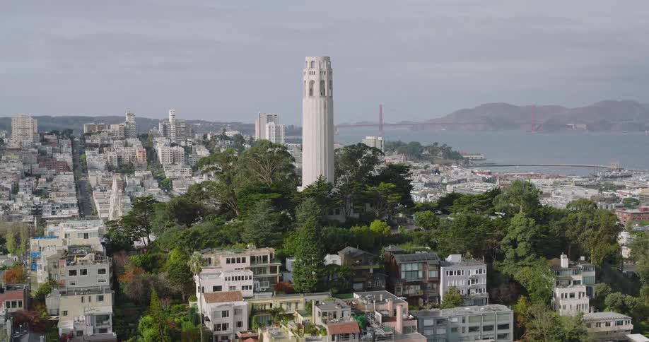 Low aerial over the buildings and trees surrounding the coit tower in san francisco on a sunny day