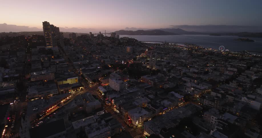 Aerial panorama of a metropolis by the sea with a dark and purple sky