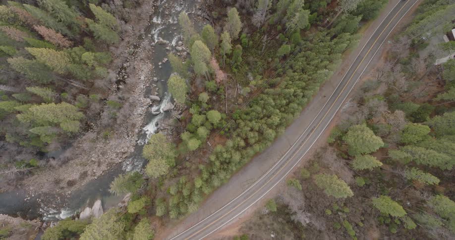 Traffic moves around the bend of a forested mountain road