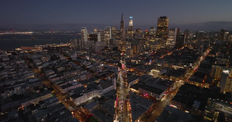 Aerial panorama of a nighttime metropolis by the seaside