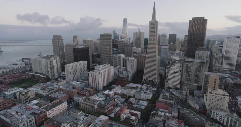 Aerial view of the san francisco city skyline
