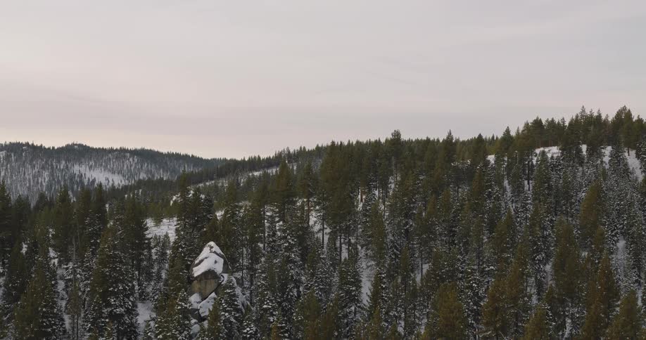 Aerial view of a snowy forest