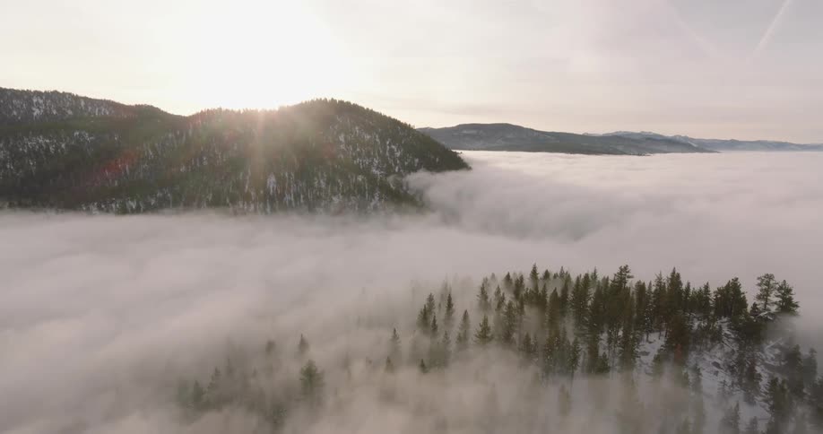 Aerial panorama of mountains with coniferous trees and misty fog in the morning