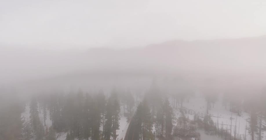 Snow blows in the wind over a forest road with mountains in the distance