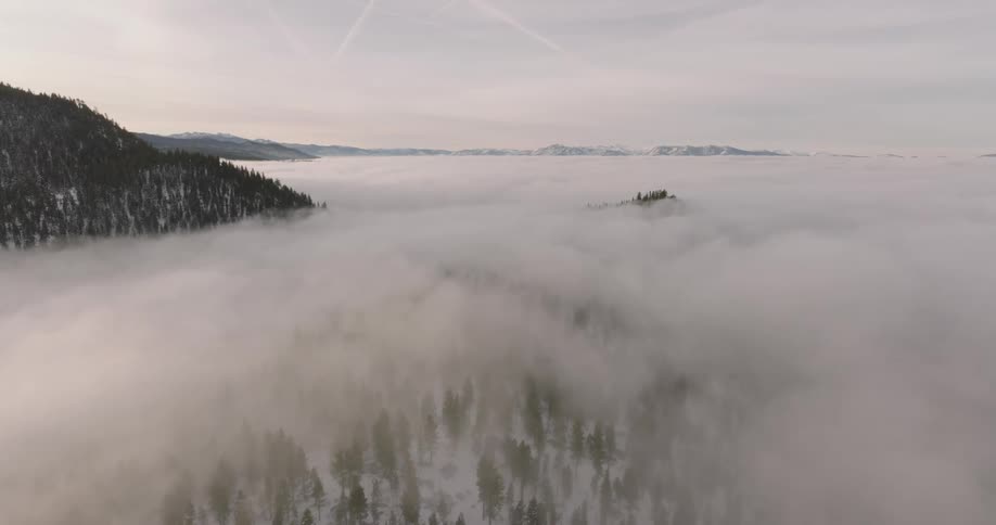 Aerial of forest covered by fog and snow during daytime