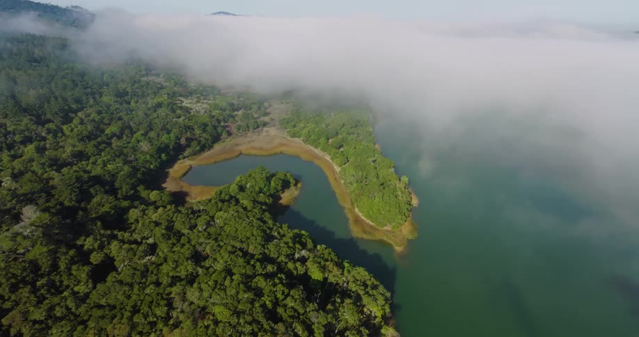 Aerial of tropical islands during sunny day