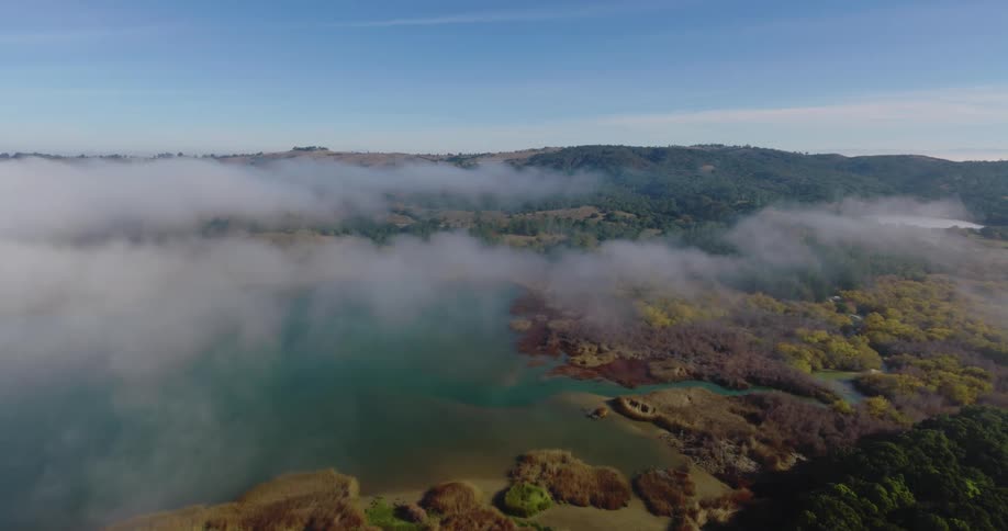 A rainforest beside the river covered in mist