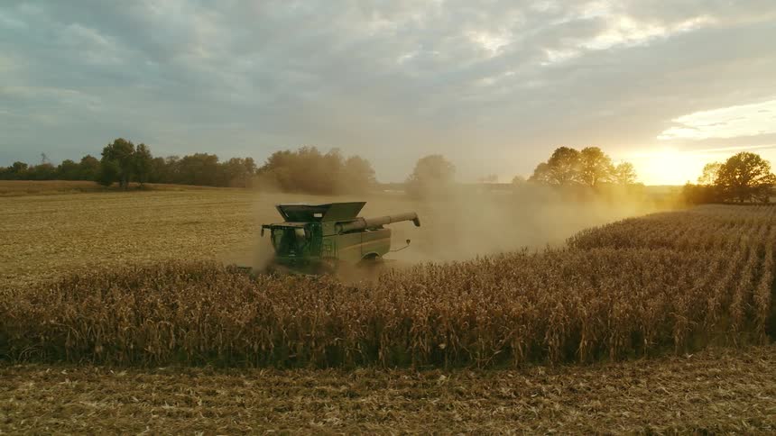 Combine harvester moves through a field harvesting corn as the sun sets on the horizon