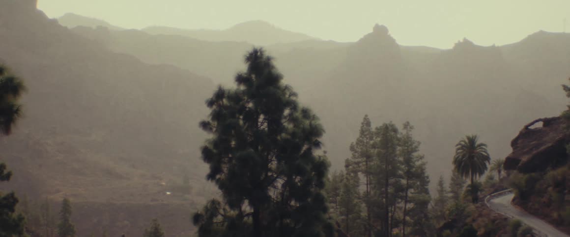A region with many trees and a huge mountain on the horizon