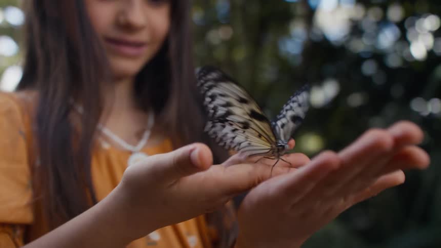 Girl wearing orange dress holds butterfly in hand outdoors
