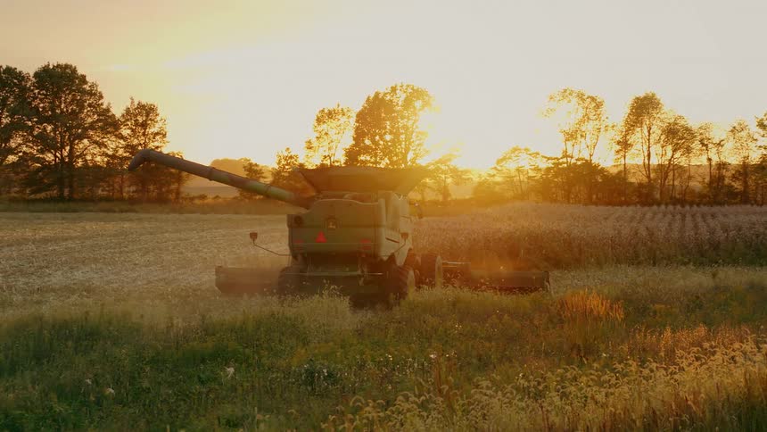 A combine harvester works its way through a field of corn in the golden glow of sunset in the American Midwest