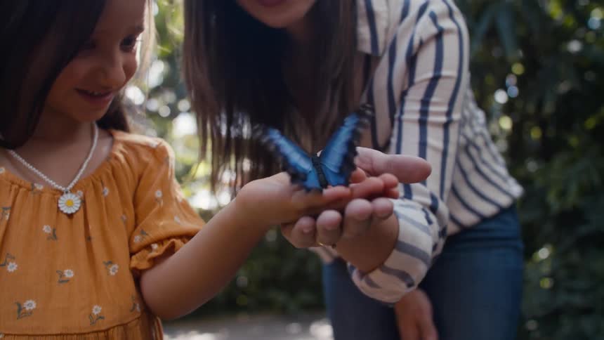 Mother and her daughter holding a butterfly with blue wings in their hands
