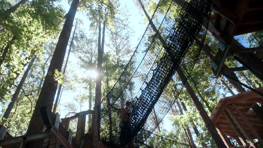 Upward view of toys with nets in the midst of a forest